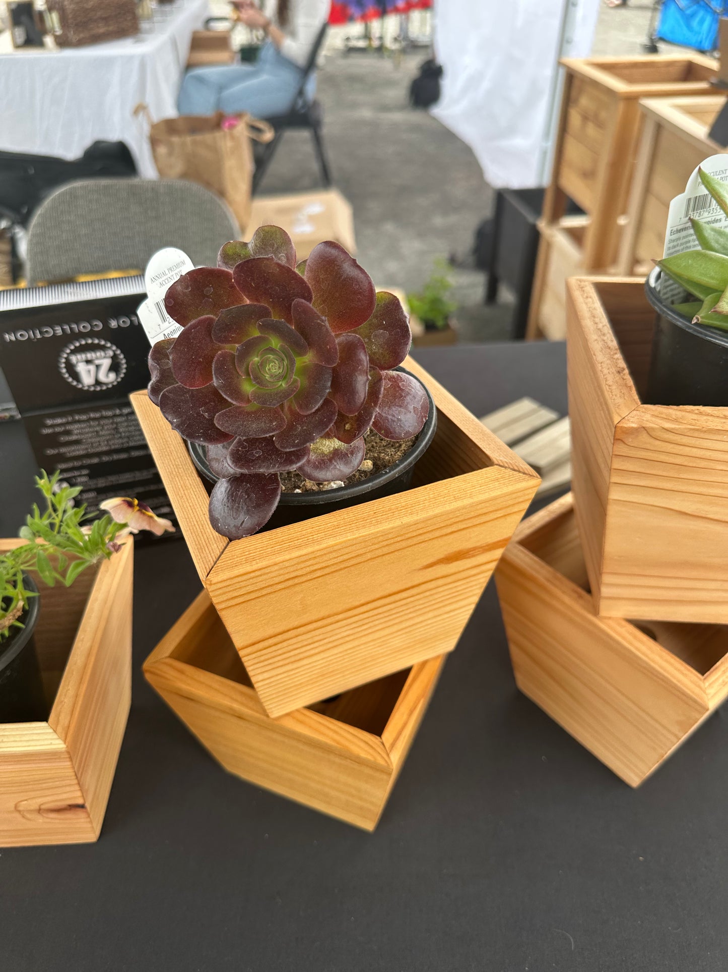 Succulent Planter Box